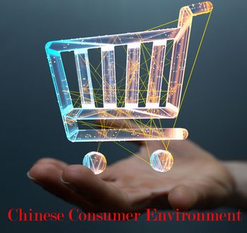 Update on the Chinese Consumer Environment